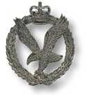 AAC Assoc.